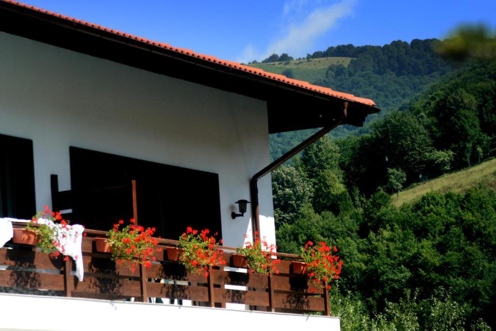 Spa Hotel Planinata Ribarica Camera foto