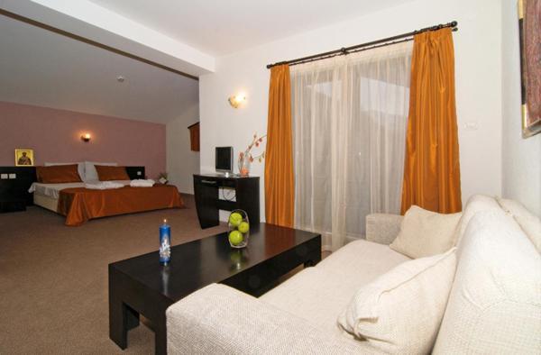 Spa Hotel Planinata Ribarica Camera foto